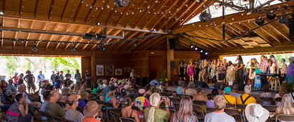 Wildflower Pavilion stage Ramy Essam on the Wildflower stage during the 2017 Folks Festival (photo: Benko Photographics)