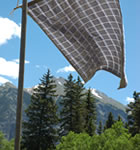 Sustainable Festivarians